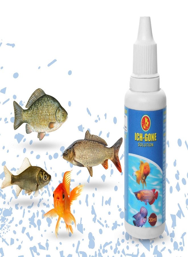 رعاية الحيوانات الأليفة الدولية بيت كير إنترناشونال، دواء لعلاج البقع البيضاء في أحواض السمك || مكافحة البقع البيضاء من أجل صحة أسماكك || عبوة من قطعتين || 30 مل - Image 1